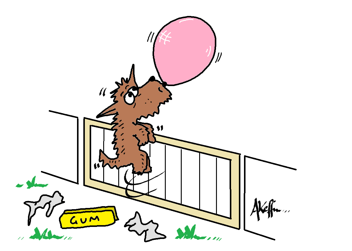 Best Dog Gate 8 Of The Best Gates To Keep Your Dog Safe Indoors