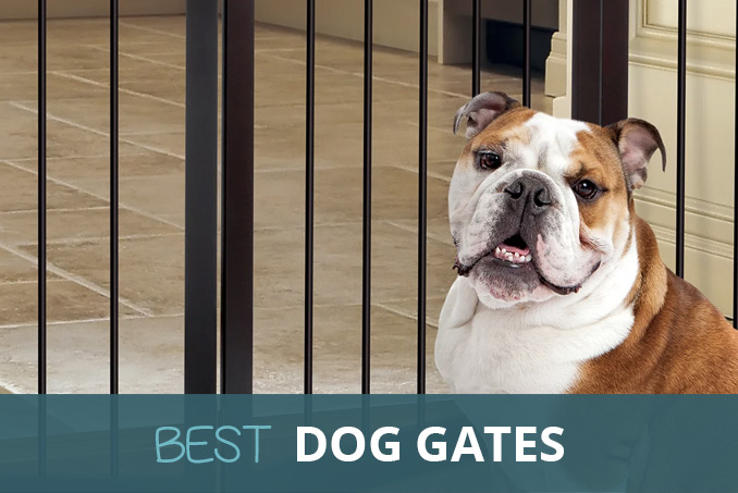 concertina dog gate