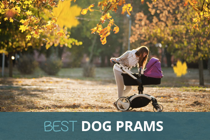 best pram for walking with dogs