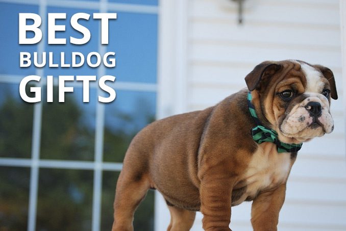 best bulldog gifts