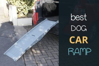 best dog car ramp