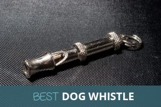 best dog whistle