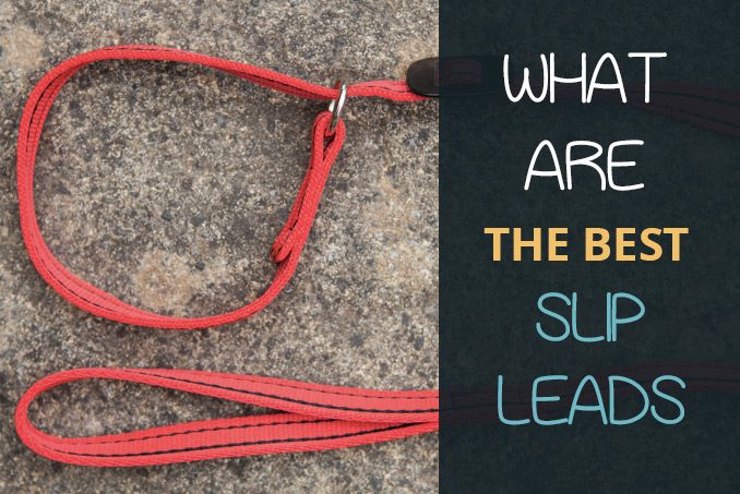 best slip leads