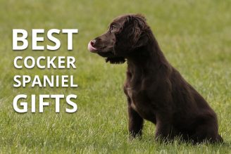 best cocker spaniel gifts