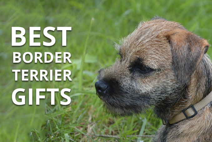 border terrier merchandise