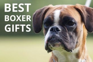 boxer dog gifts