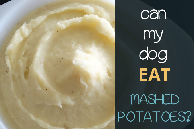 mashed potatoes bad for dogs