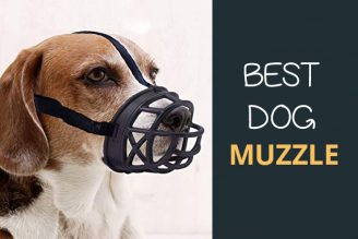 best dog muzzle