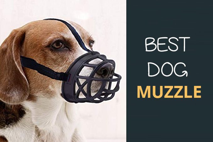 best muzzle to prevent barking