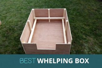 best whelping box