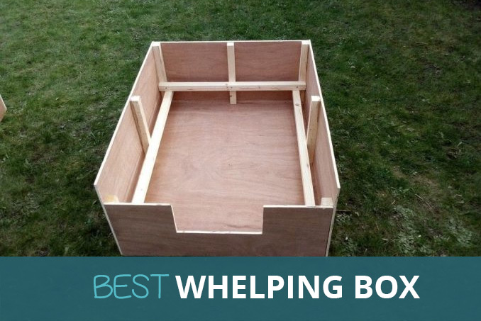 best whelping box for dogs