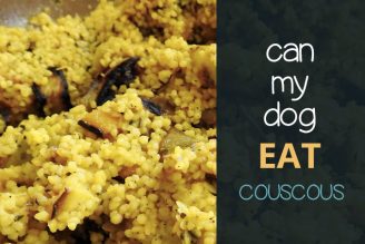 Can dogs eat couscous